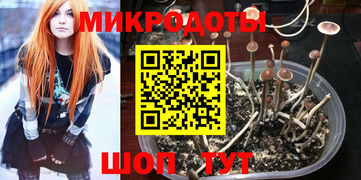 Псилоцибиновые грибы мухоморы Искитим
